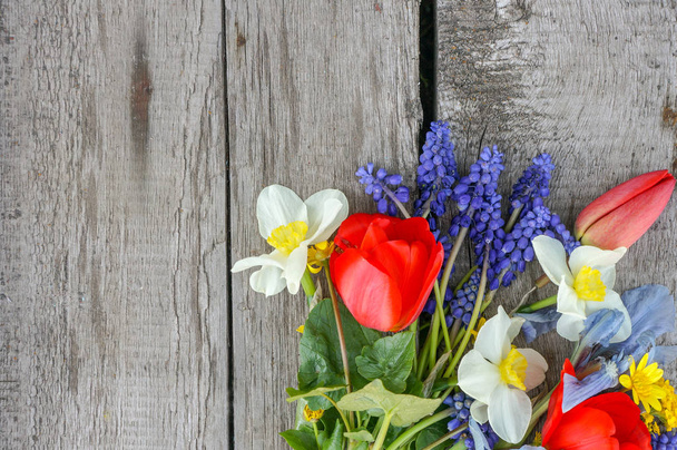 ανοιξιάτικα λουλούδια σε ξύλινο φόντο - Φωτογραφία, εικόνα