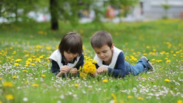 Dulces niños, niños, juntando dientes de león y flores de margarita en un campo de primavera
 - Imágenes, Vídeo