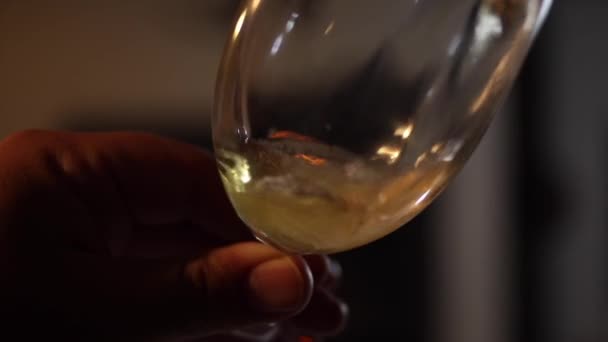 pouring beer into glass - Filmati, video