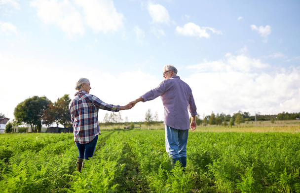happy senior couple holding hands at summer farm - Фото, изображение