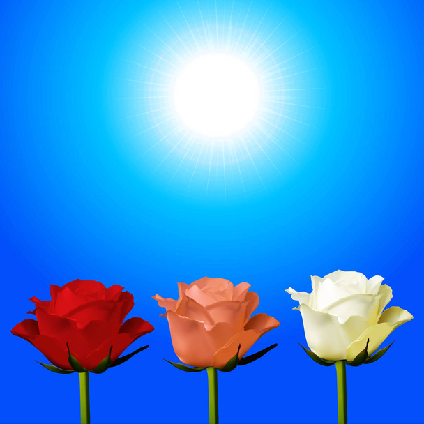 Trio van rode, roze en witte rozen over zonnige hemel - Vector, afbeelding