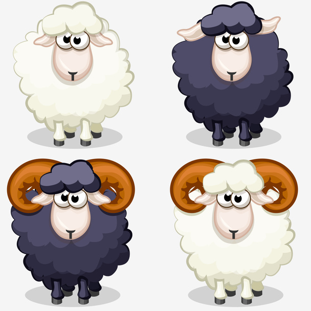 черно-белая овца - Фото, изображение