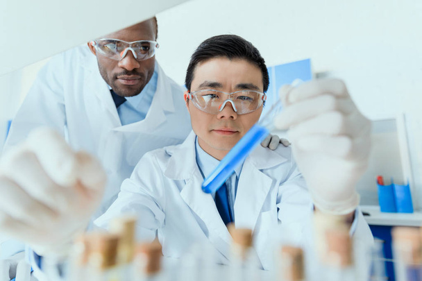 Scientists working in lab  - Foto, afbeelding