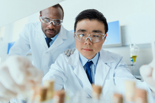 Vědci pracující v laboratoři  - Fotografie, Obrázek