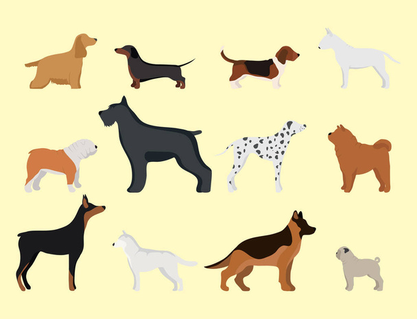 Vicces rajzfilm kutya karakter kenyér a rajzfilm stílusú vektoros illusztráció. - Vektor, kép