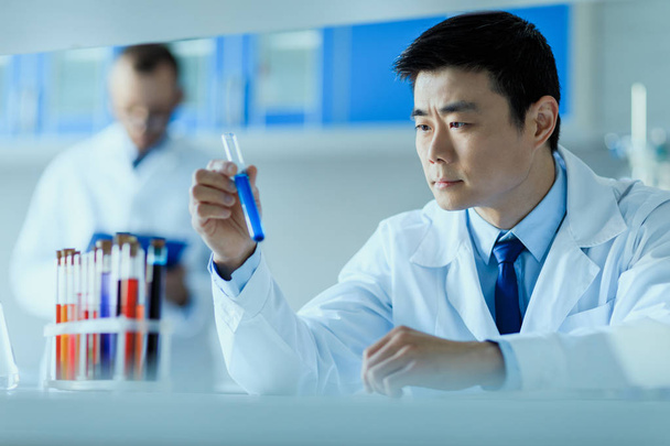 scientist working in laboratory  - Photo, Image