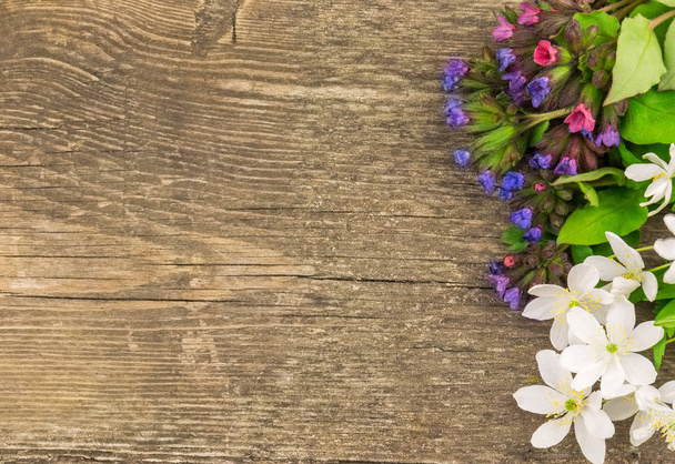 Stále ještě žije první jarní lesní květy UK (Anemones a Lungwort) na rustikálním dřevěném pozadí s místem pro kopírování. Dobrý den jarní série. - Fotografie, Obrázek