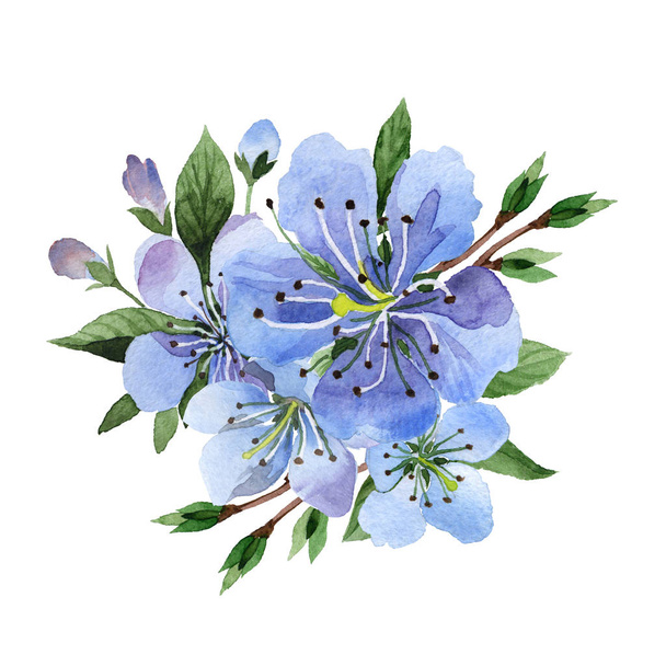 Wildflower cherry flower in a watercolor style isolated. - Photo, Image