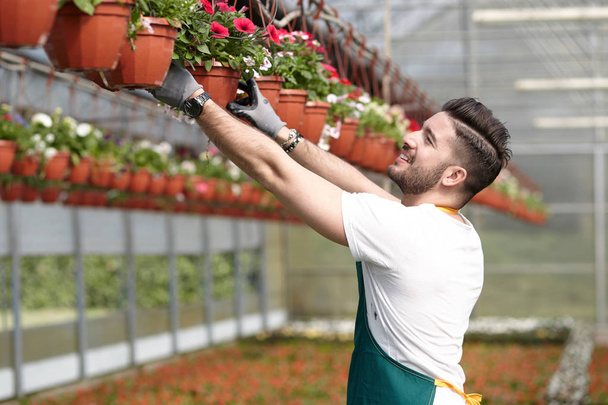 happy male nursery worker trimming plants in greenhouse - Zdjęcie, obraz