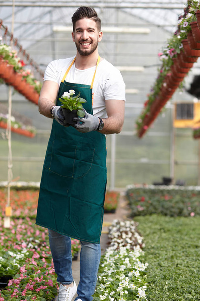 happy male nursery worker trimming plants in greenhouse - Photo, image