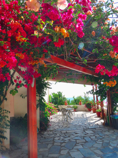 traditional terrace with bright bougainvillea in Greece  - Photo, Image