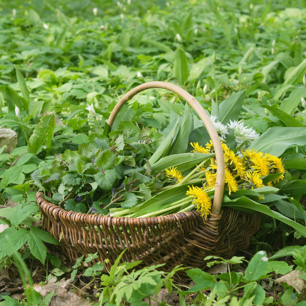 Basket with wild herbs - Photo, Image