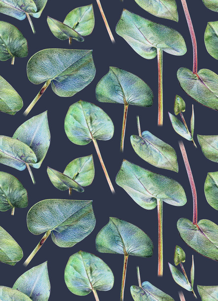  Seamless floral pattern with green eucalyptus - Fotoğraf, Görsel