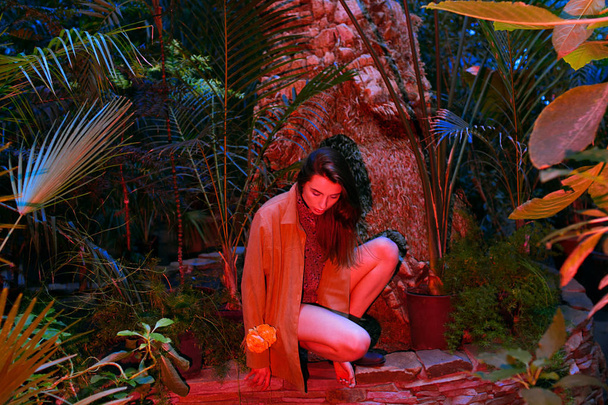Stylish girl among exotic plants in the jungle - Φωτογραφία, εικόνα