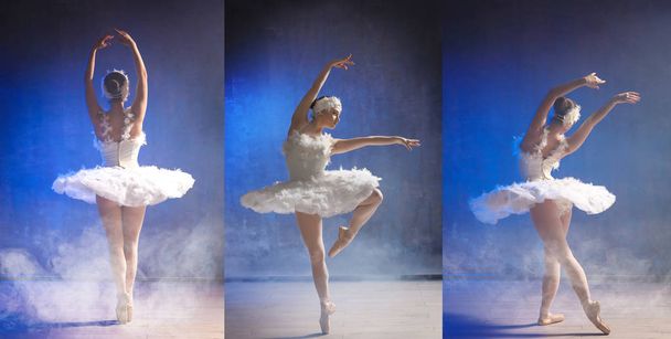 Collage of beautiful ballet dancer on color background - Фото, изображение