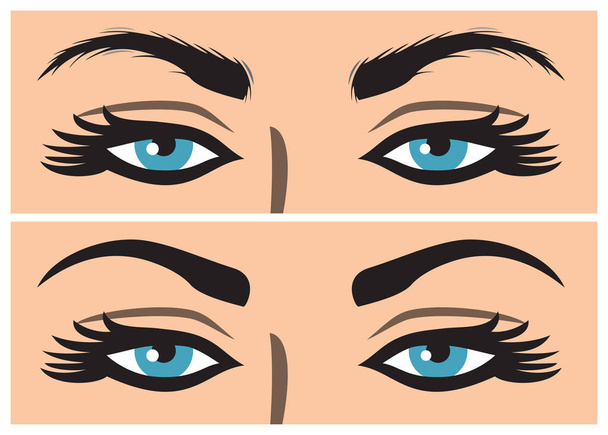  eyebrow before and after correction  - Vector, Image