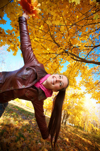meisje op een achtergrond van de herfst bladeren - Foto, afbeelding