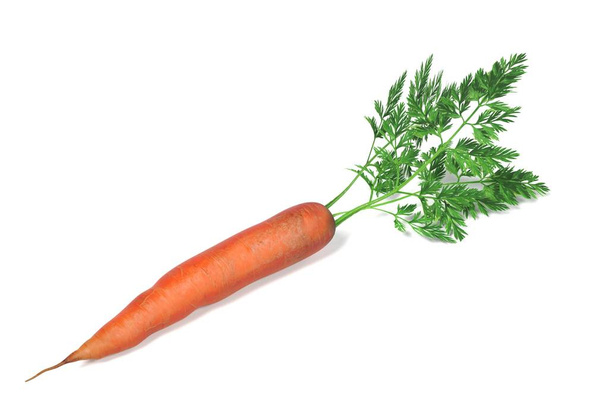 Реалистичный 3D рендеринг моркови
 - Фото, изображение