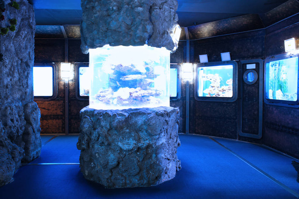 Interior of beautiful oceanarium - Valokuva, kuva