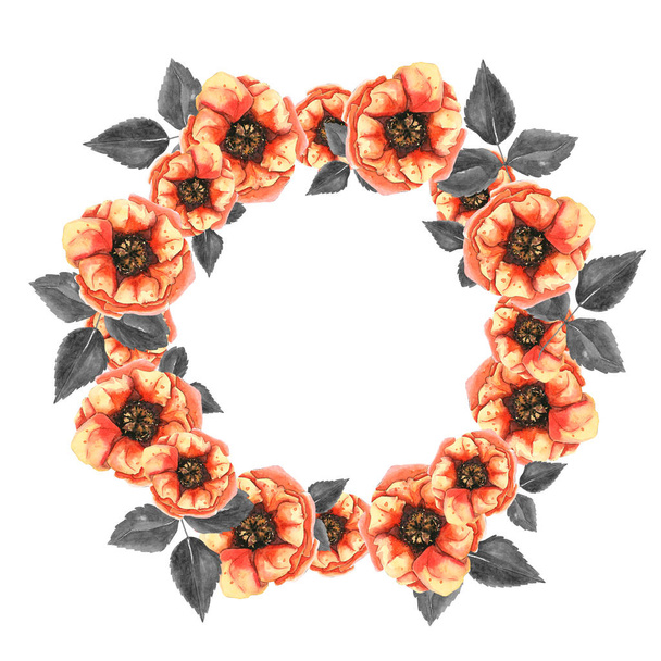 round floral frame - 写真・画像