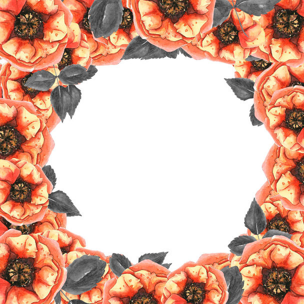 floral seamless pattern with poppies - Photo, Image