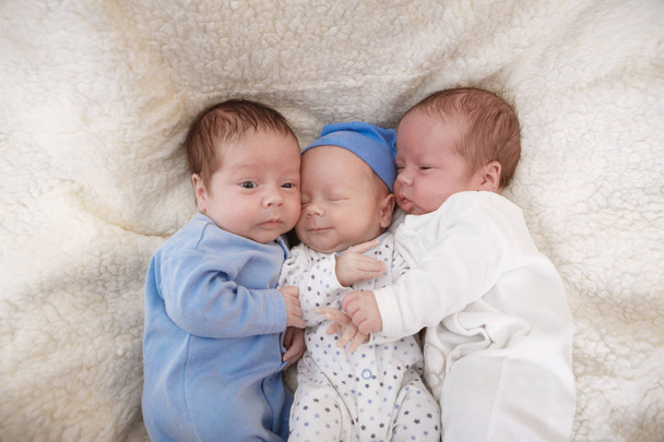 Portré újszülött hármas - fiúk - Fotó, kép