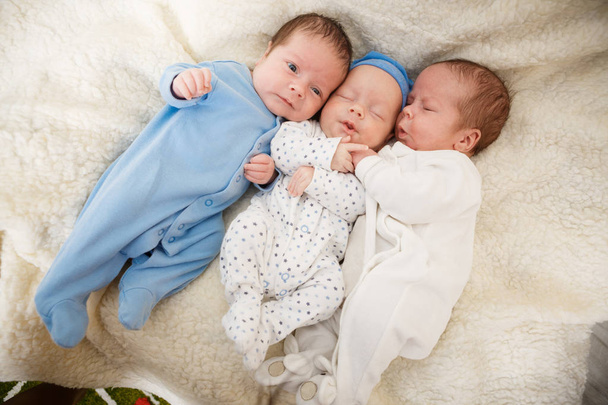 Портрет новорожденных тройняшек - мальчиков
 - Фото, изображение