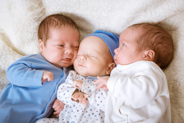 Портрет новорожденных тройняшек - мальчиков
 - Фото, изображение