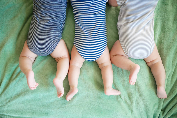Newborn triplets lie on a stomach on a blanket - Photo, Image