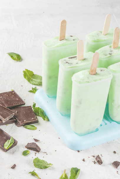 Mint and chocolate popsicles - Photo, Image