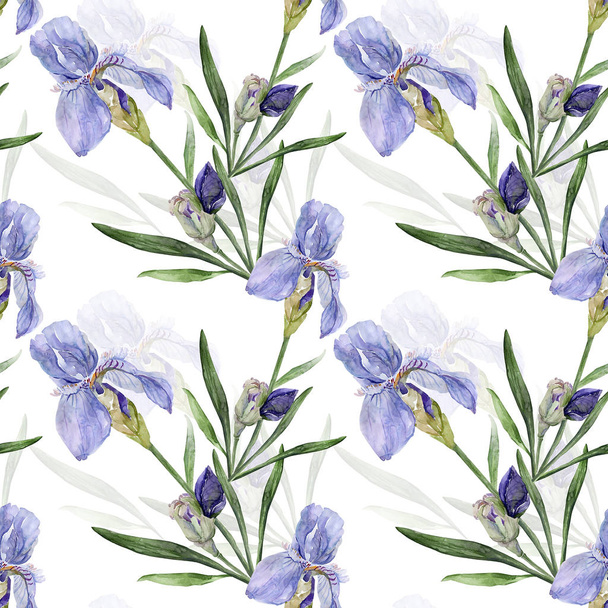 Seamless pattern of irises on a color watercolor background - Valokuva, kuva