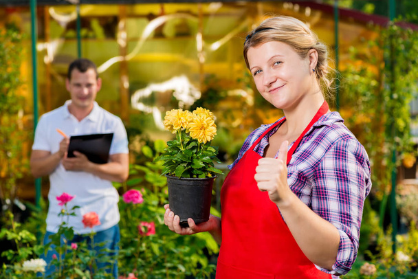 Los floristas exitosos jardineros son su propio negocio en la implementa
 - Foto, imagen