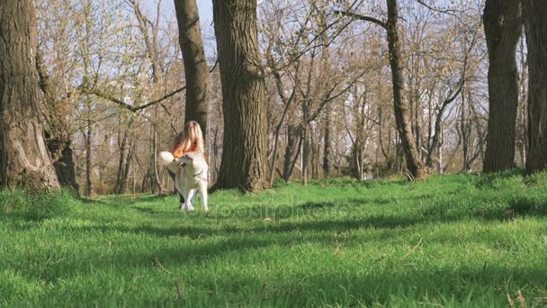 жінка з хаскі в лісі
 - Кадри, відео