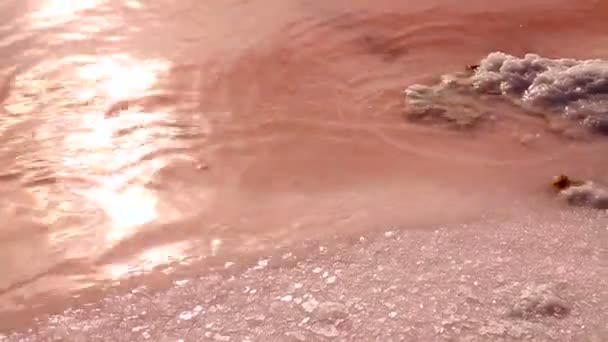 A sunrays reflections on a felület pink lake - Felvétel, videó