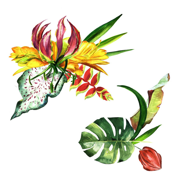 熱帯のハワイが分離された水彩画のヤシの木を葉します。. - 写真・画像
