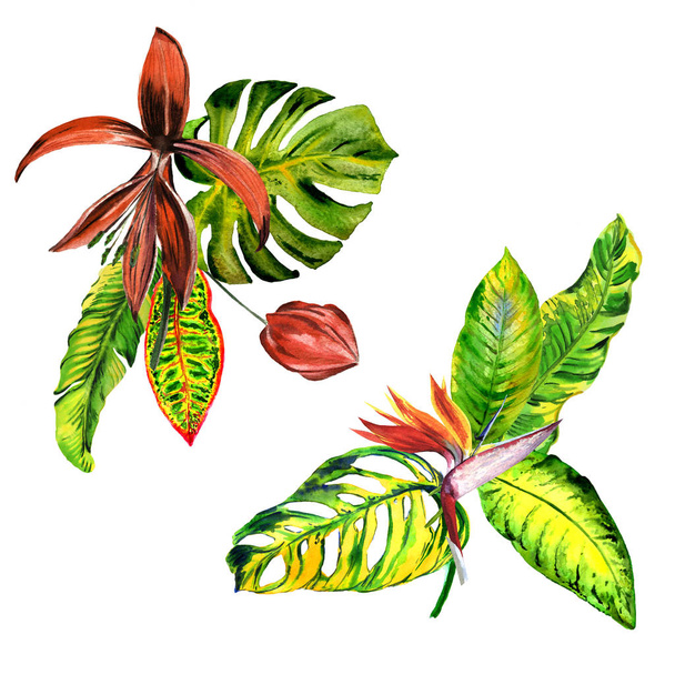 Tropické Hawaii listy palmy ve stylu akvarelu, samostatný. - Fotografie, Obrázek