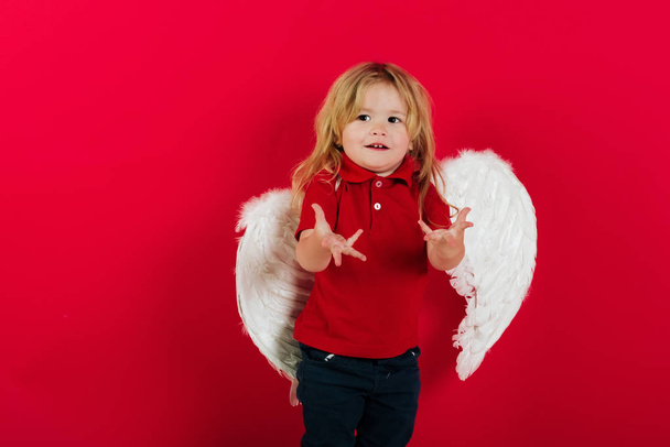 little angel happy boy with white feather wings and halo - Photo, image