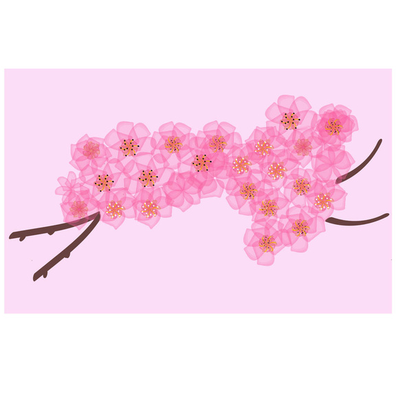 Realistic sakura japan cherry branch with blooming flowers vector - Vector, Image