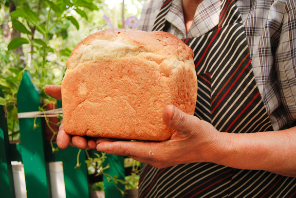 Newly-baked bread - Photo, Image