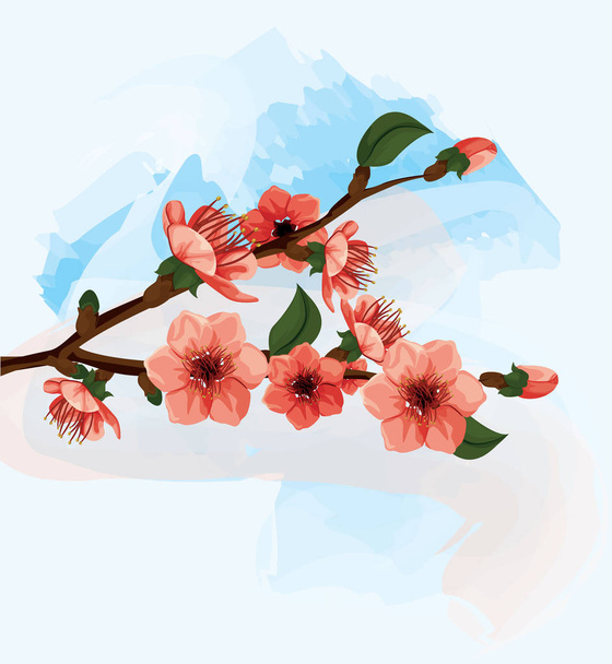 vetor de flor de cereja
 - Vetor, Imagem