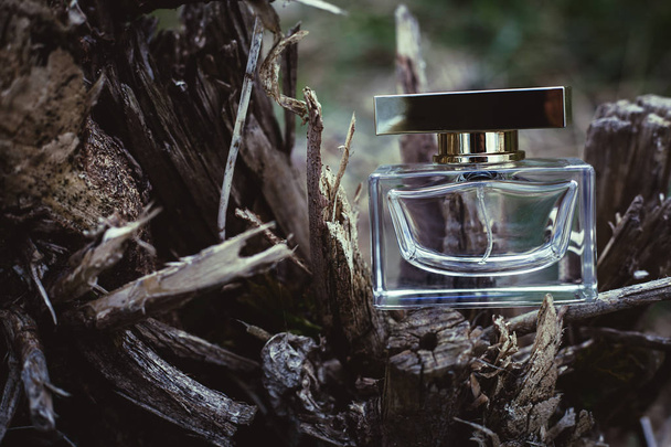 perfume on wooden background  - Photo, Image