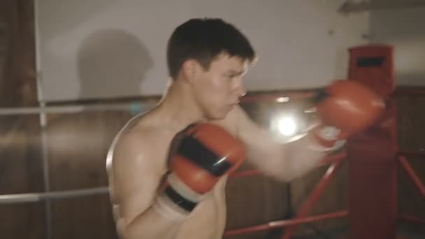Handsome kickboxer training in front of camera. Slowly - Video