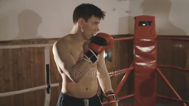 Handsome kickboxer training hits with partner in the boxing studio. Slowly - Video, Çekim