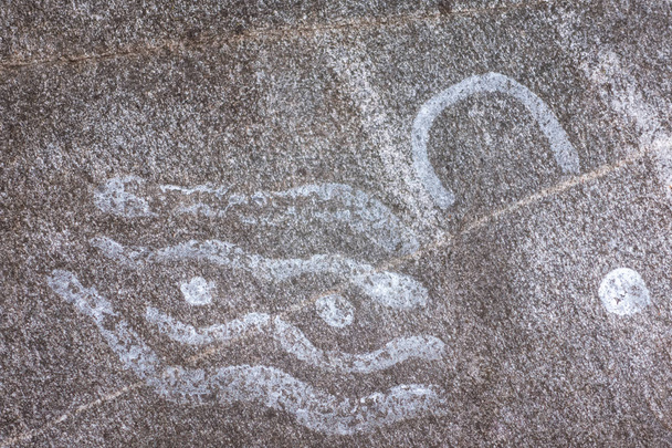 Petroglyph dating back to bronze age, near Nykping, Sweden - Photo, Image