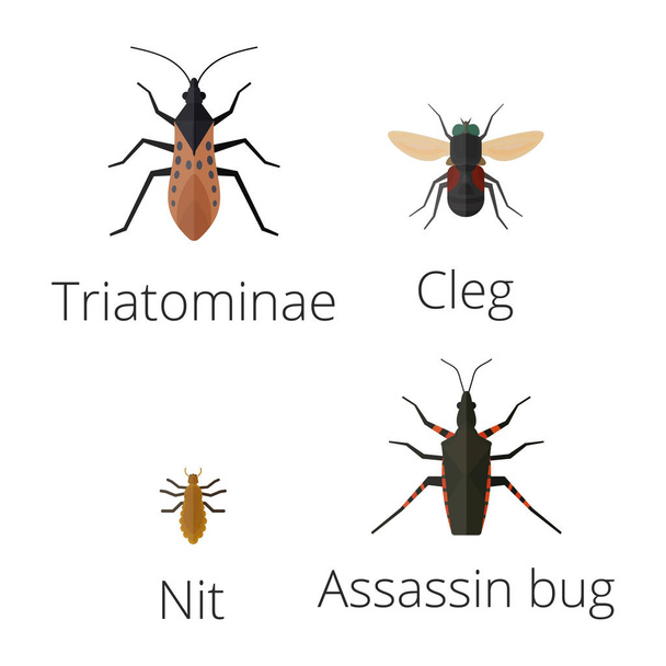 Barevné hmyzu ikony izolované přírodní křídlo detail letní červ housenka chyb divoké vektorové ilustrace. - Vektor, obrázek