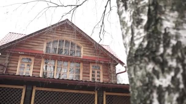 森の木の家。ヨーロッパの中心のアンティーク木製村。木製ログハウス建築 - 映像、動画