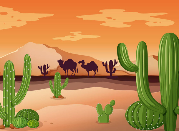 Cena do deserto com cacto e pôr do sol
 - Vetor, Imagem