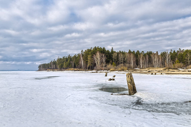 The coast of the Ob river with melting ice - Photo, image