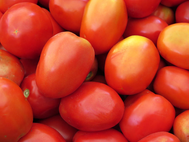 fresh organic Red tomatoes - Foto, Imagem