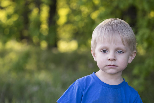 Portrait of a little boy - Photo, Image